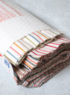 Magic Stripe Scrap Bundle